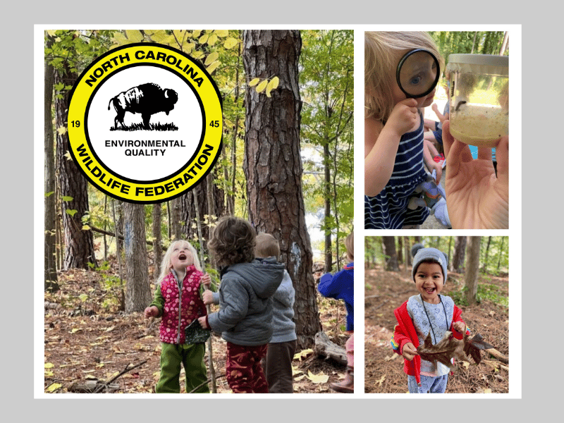 A collage of kids enjoying nature.