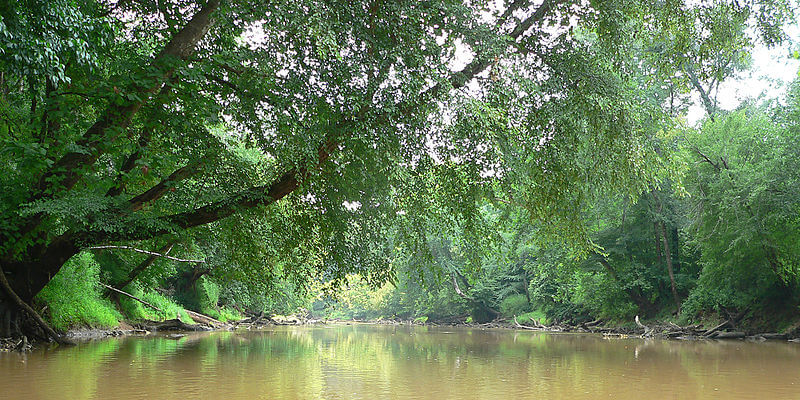 The Neuse River.