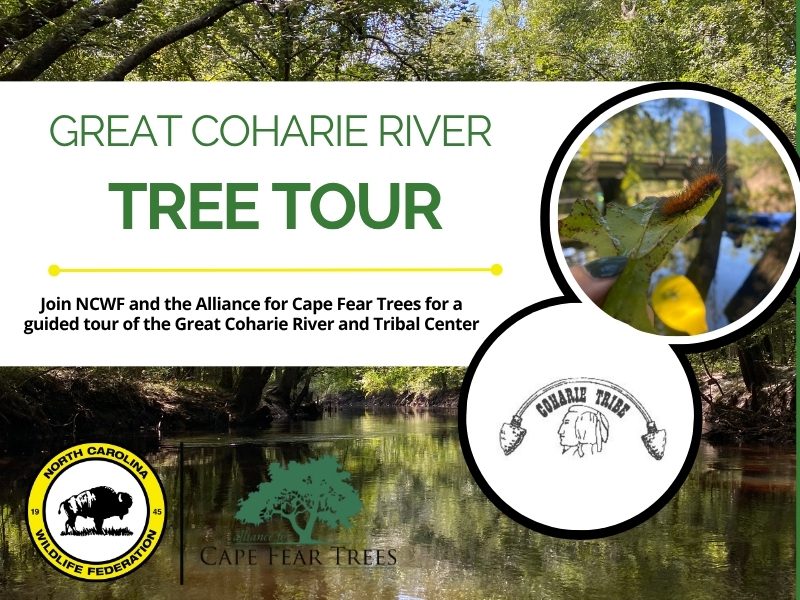 ACFTCoharieRiver