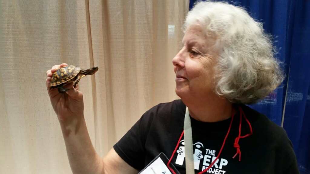Biologist and Scholar Ann Somers looks at a small turtle she's holding in her hands.