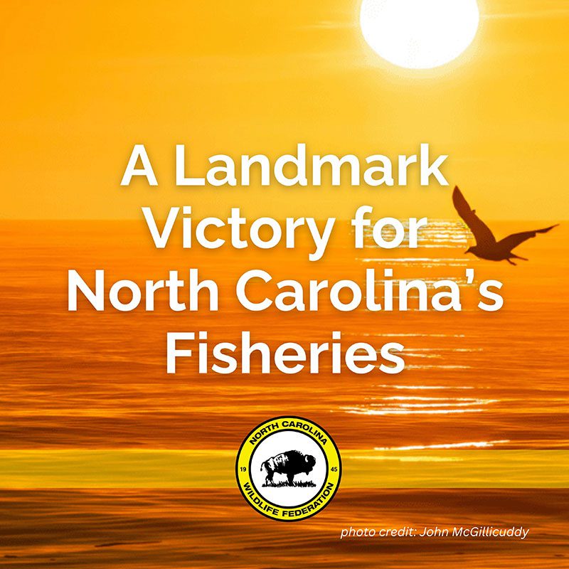 Landmark victory for NC fisheries