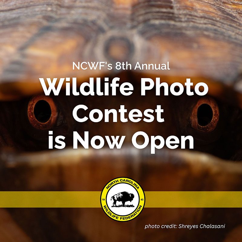 8th Annual Photo Contest
