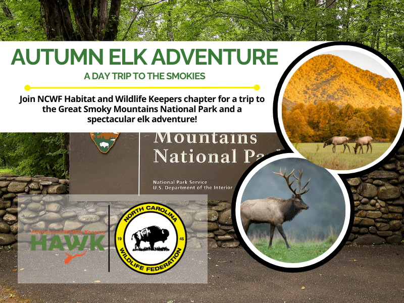 AutumnElkAdventure AutumnElkAdventure