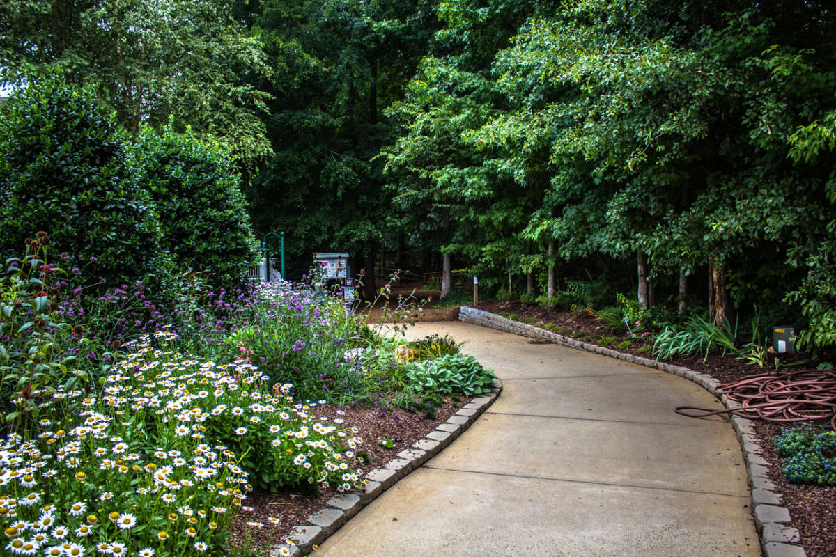 A pathway flanked by pollinator gardens at Bass Lake Park.
