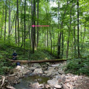 An ultrasonic recording unit used to survey bats in north carolina
