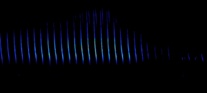 A spectogram from surveying bats in north carolina