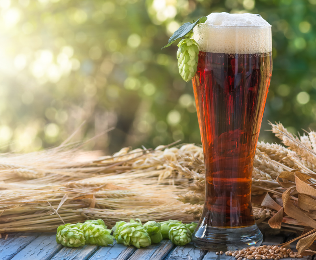 A tall glass of beer with a hops flower draped over the side and hops flowers, stems and seeds laying beside it on the table.