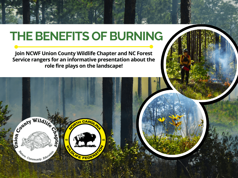 BenefitsofBurning BenefitsofBurning