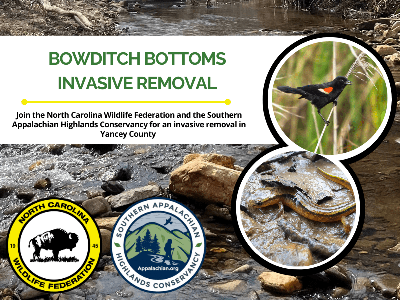 BowditchBottoms2