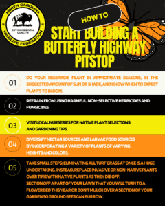 March for Pollinators on the Butterfly Highway