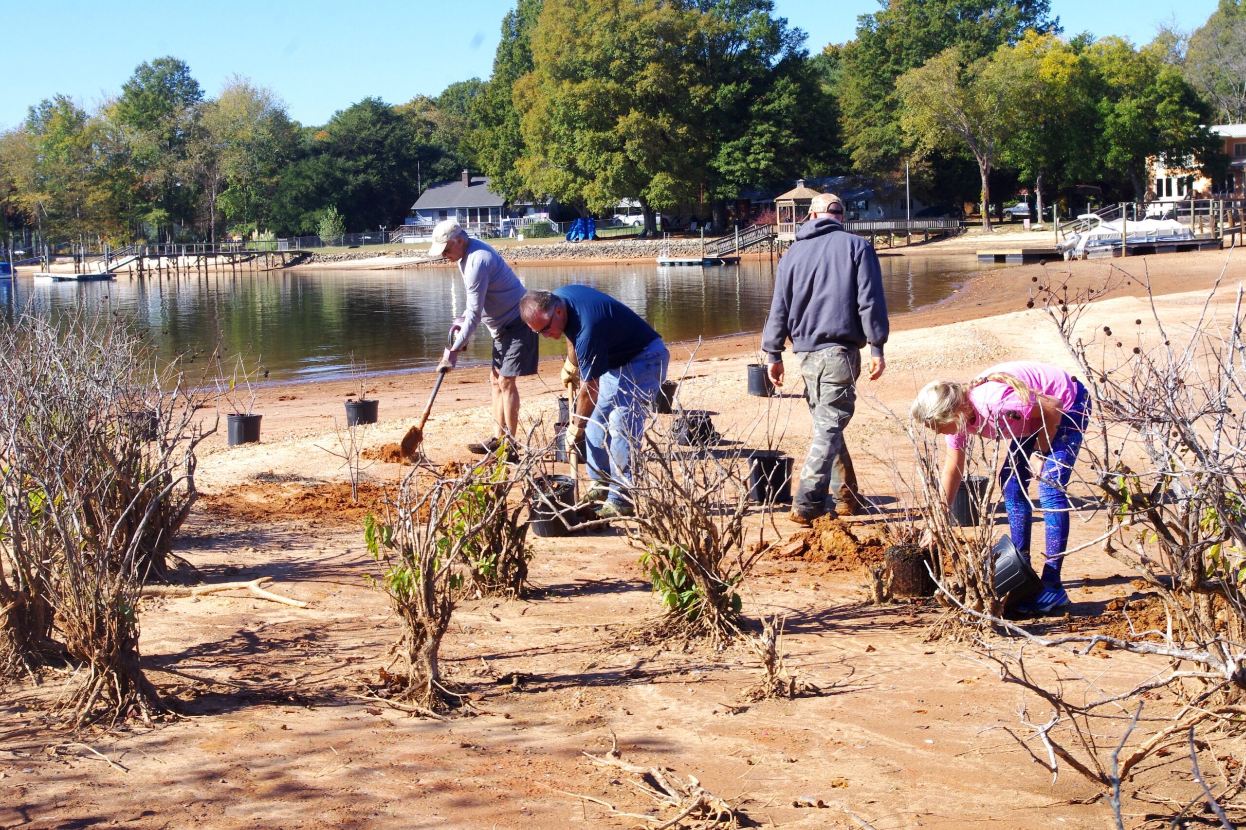 Volunteers Planting Buttonbush at Lake Norman