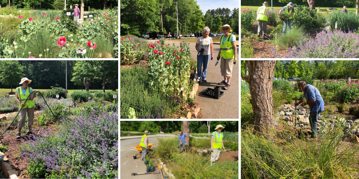 Volunteers installing a butterfly garden.