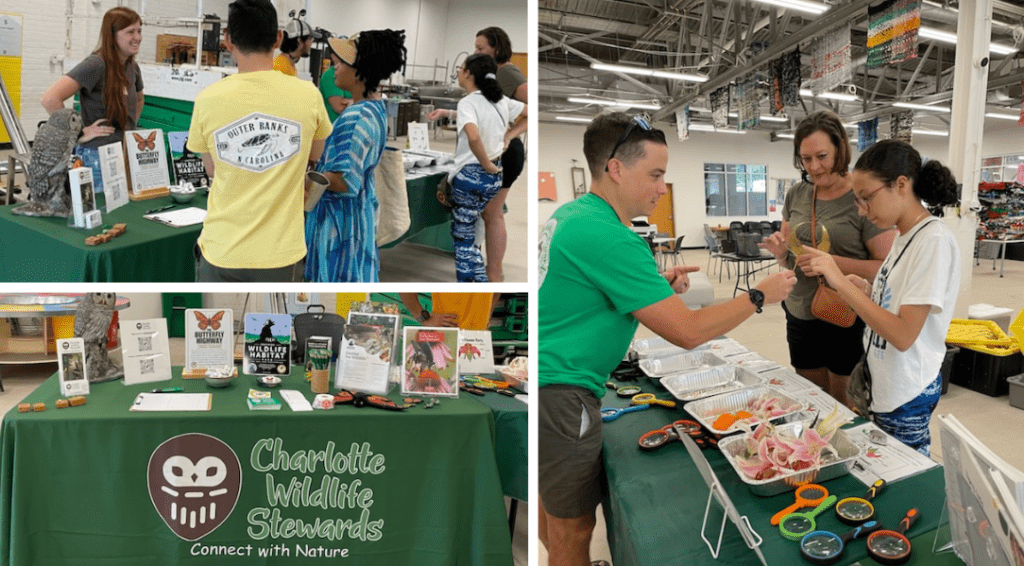 June 29th, CWS Circular Saturdays: NCWF Charlotte Wildlife Stewards Chapter participated in Circular Saturday at the Innovation Barn. Volunteers hosted an educational table with information about the Butterfly Highway program and how to get involved.  Participants got hands on with a flower dissection, learned about the science of pollination, and toured the pollinator gardens on site.