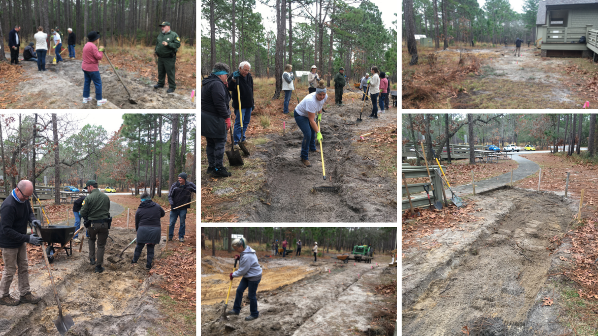 Carolina Beach bog garden collage