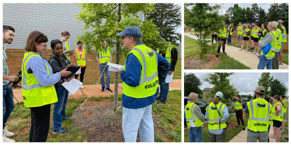 A group of volunteers participating in a tree survey.