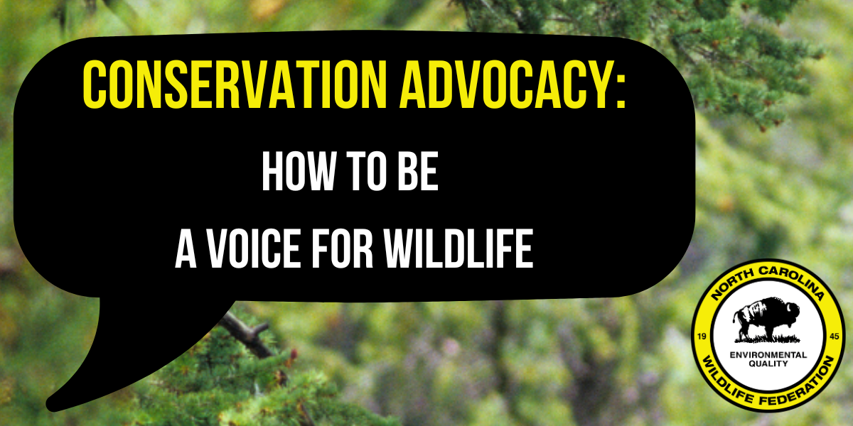 Conservation Advocacy Conservation Advocacy