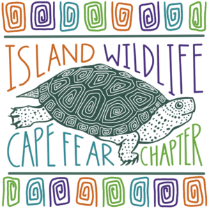 Island Wildlife (Lower Cape Fear Region)