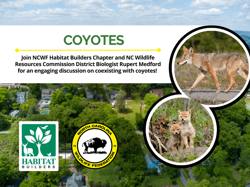 CoyotesWithWRC CoyotesWithWRC