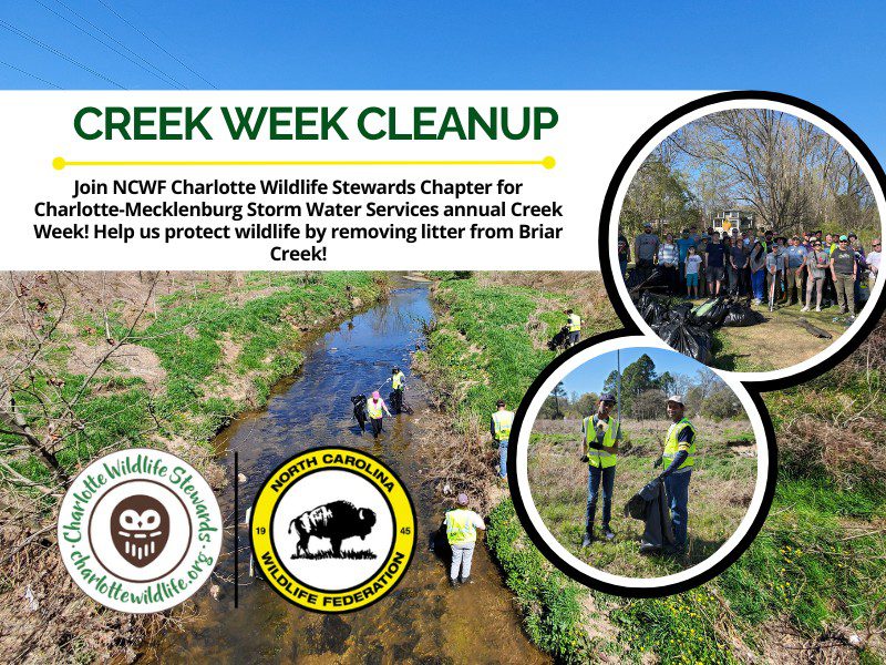 CreekWeekCleanupChantilly