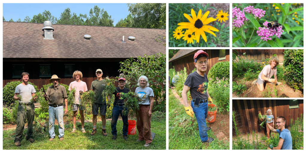Autumn Gardening at Crowder Park North Carolina Wildlife Federation