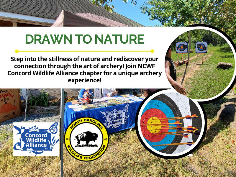 DrawnToNature DrawnToNature