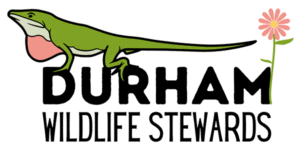 Durham Wildlife Stewards Chapter