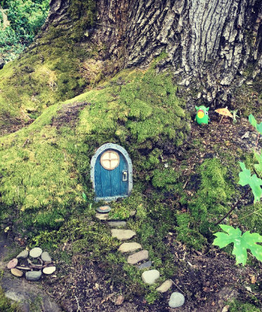 A fairy house door on a tree root blanketed by moss.