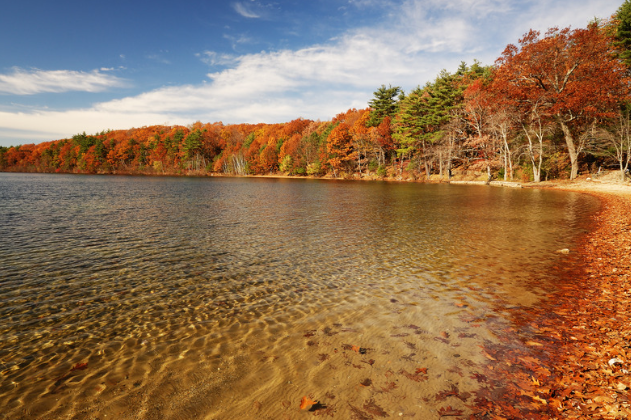 A view of Falls Lake leaf displays in fall.