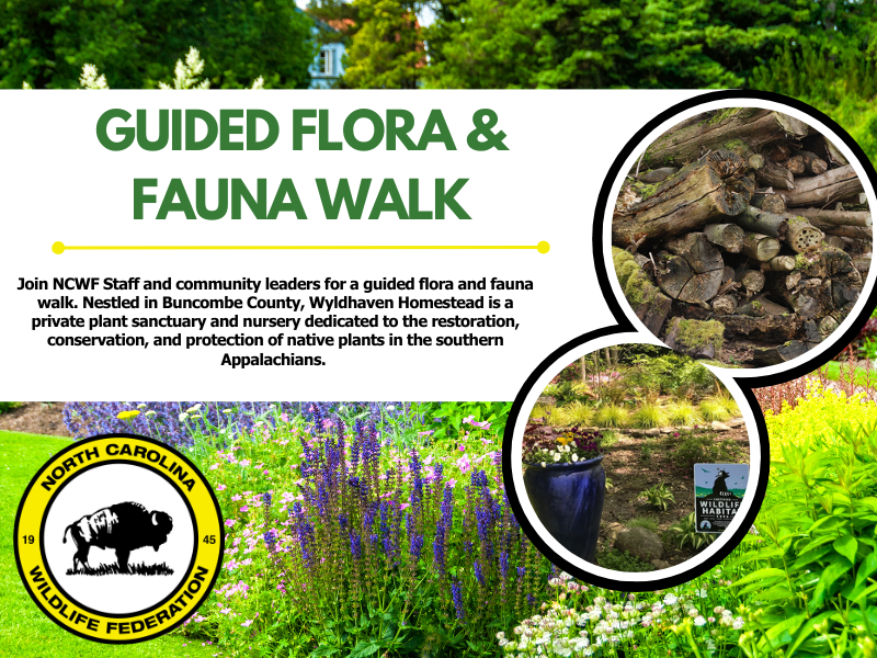 FloraFauna FloraFauna