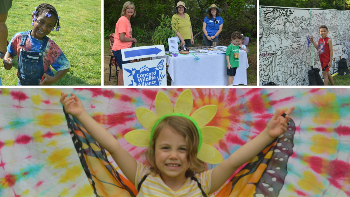 A collage of children enjoying past Flutter By Earth Day events.
