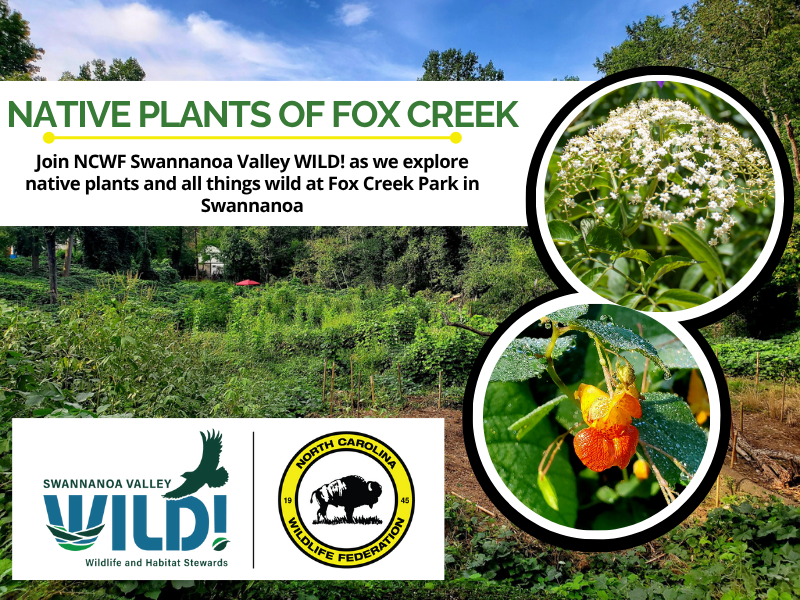 FoxCreekWalk FoxCreekWalk