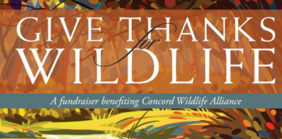Give Thanks for Wildlife logo
