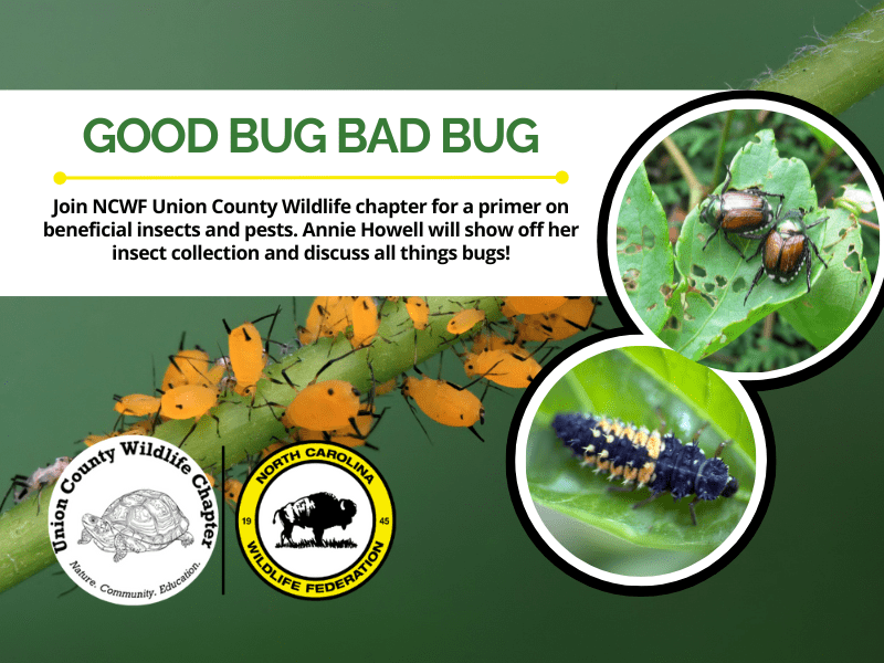 GoodBugBadBug GoodBugBadBug
