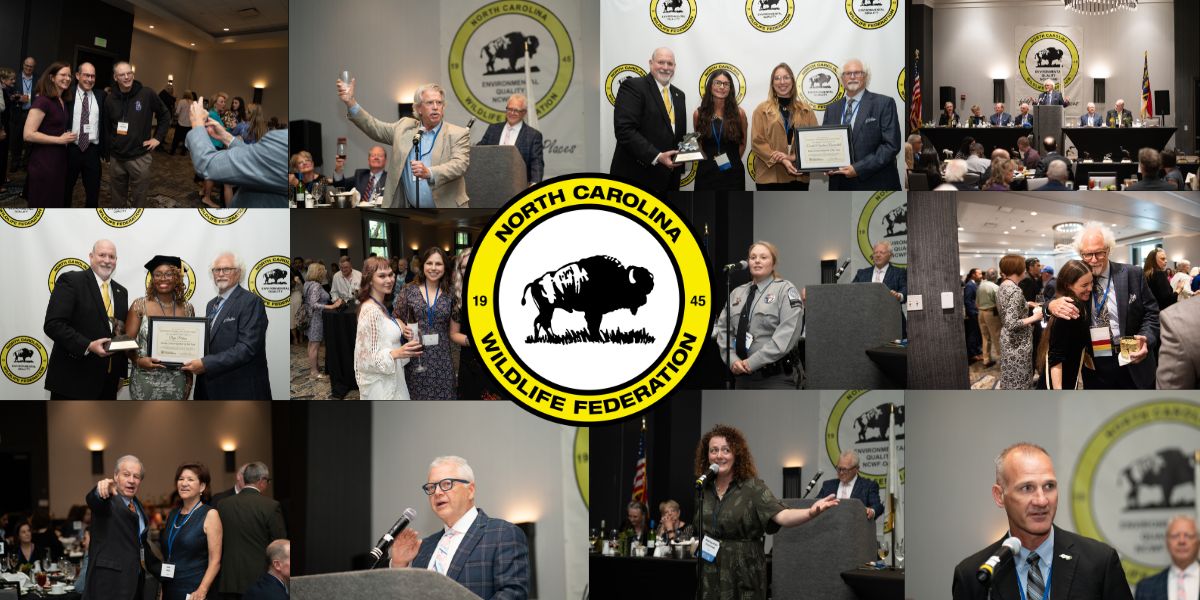 Gov Awards (2) Gov Awards (2)