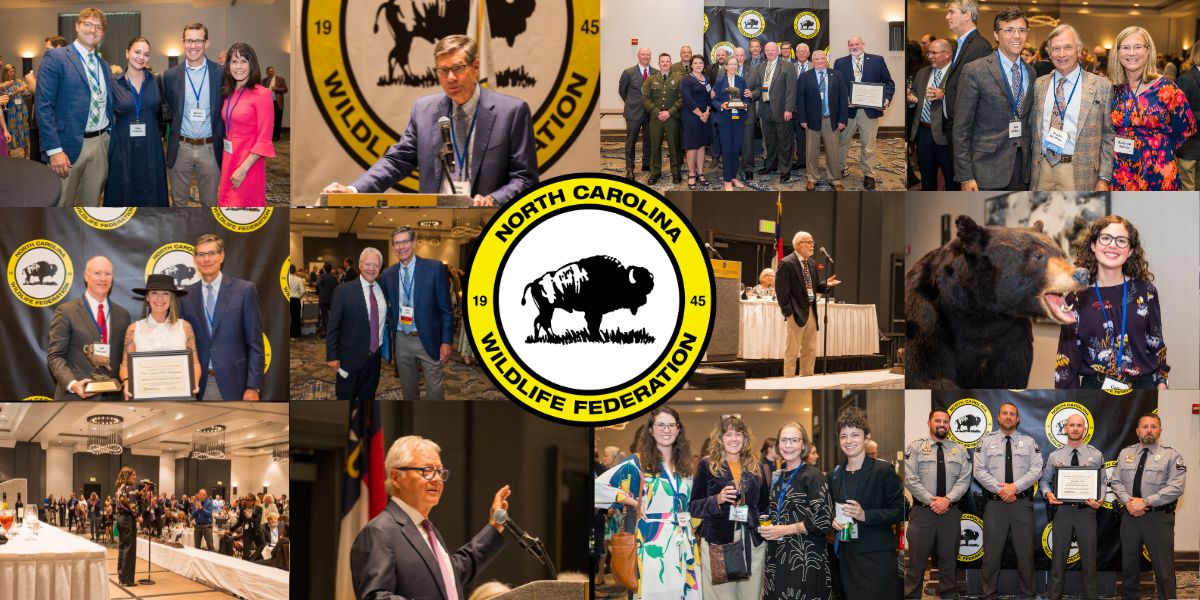 Gov Awards 26