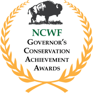 Governors Achievement Award logo