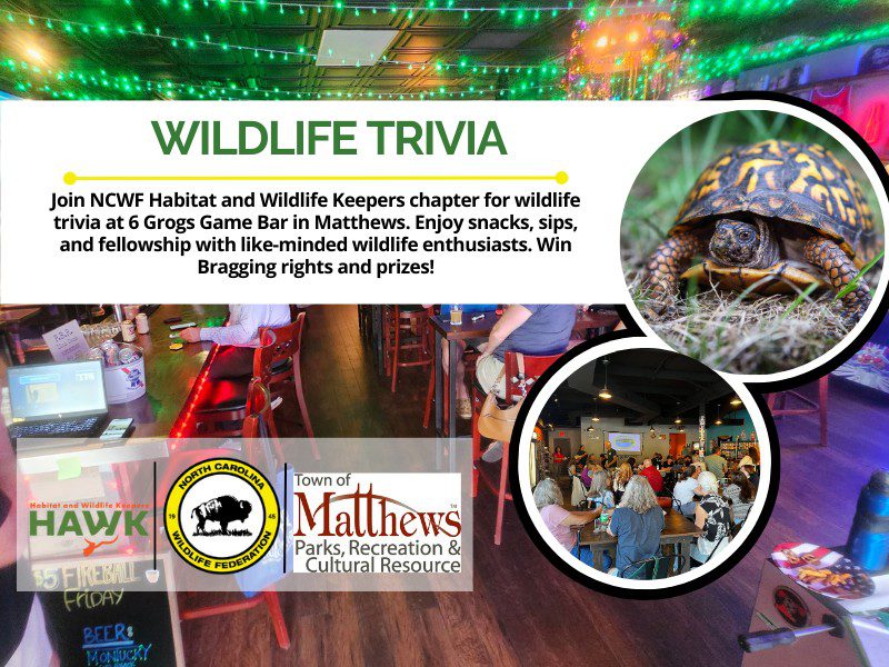 HAWKTRIVIA6Grogs