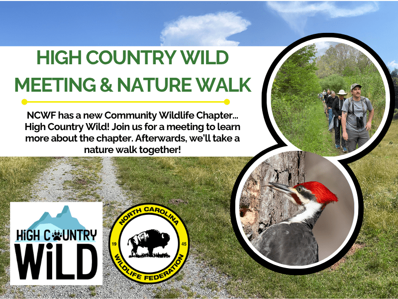 HCWNatureWalk HCWNatureWalk