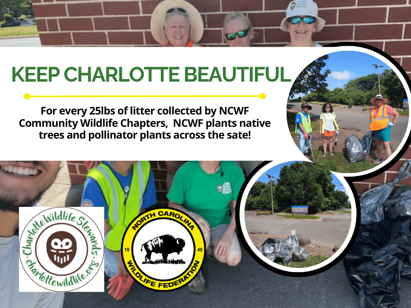 HelpKeepCharlotteBeautiful HelpKeepCharlotteBeautiful