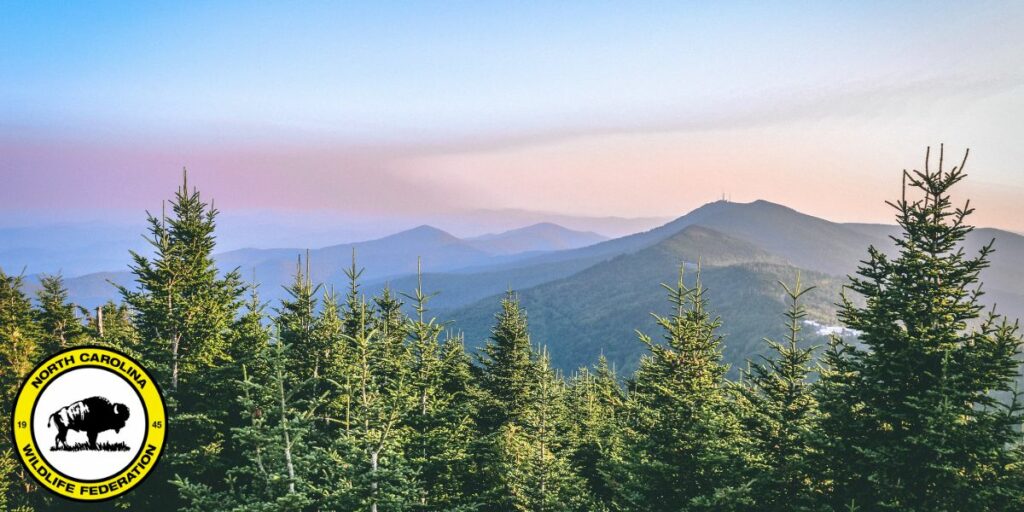 Historic Legislation Passes Congress