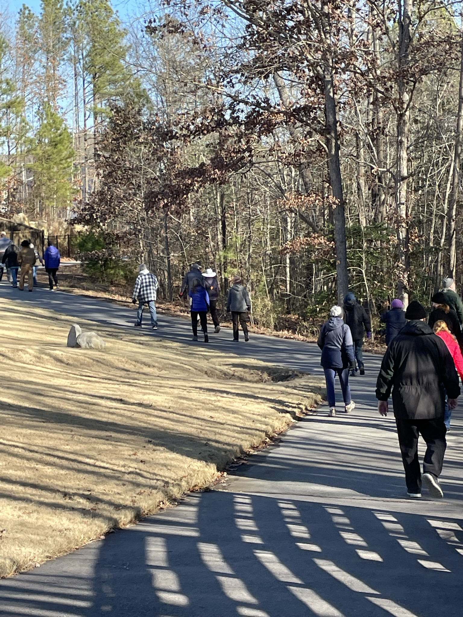 A trail of people on a nature walk with the Neuse River Hawks chapter of NCWF.