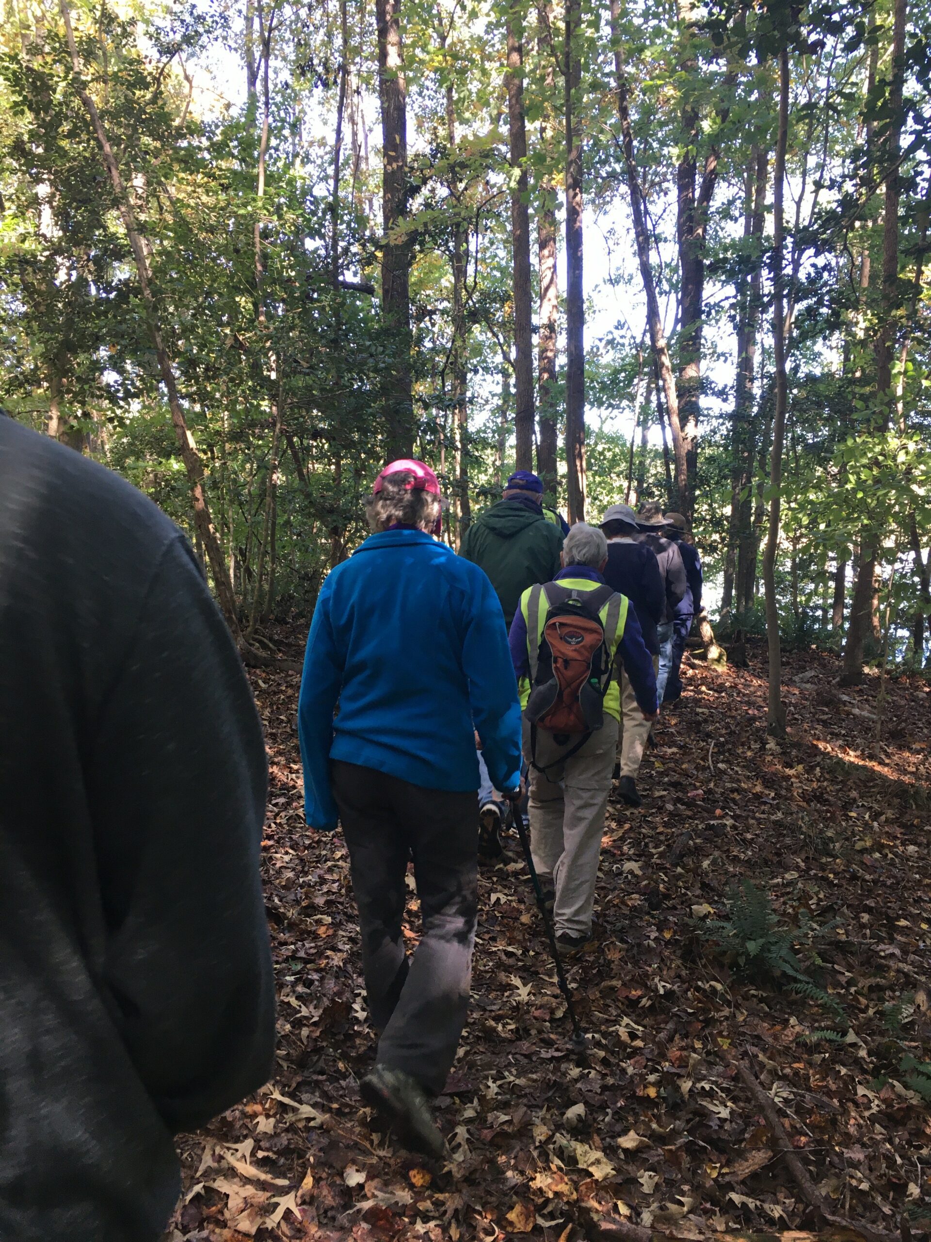 A group of people on a nature walk through the forest.