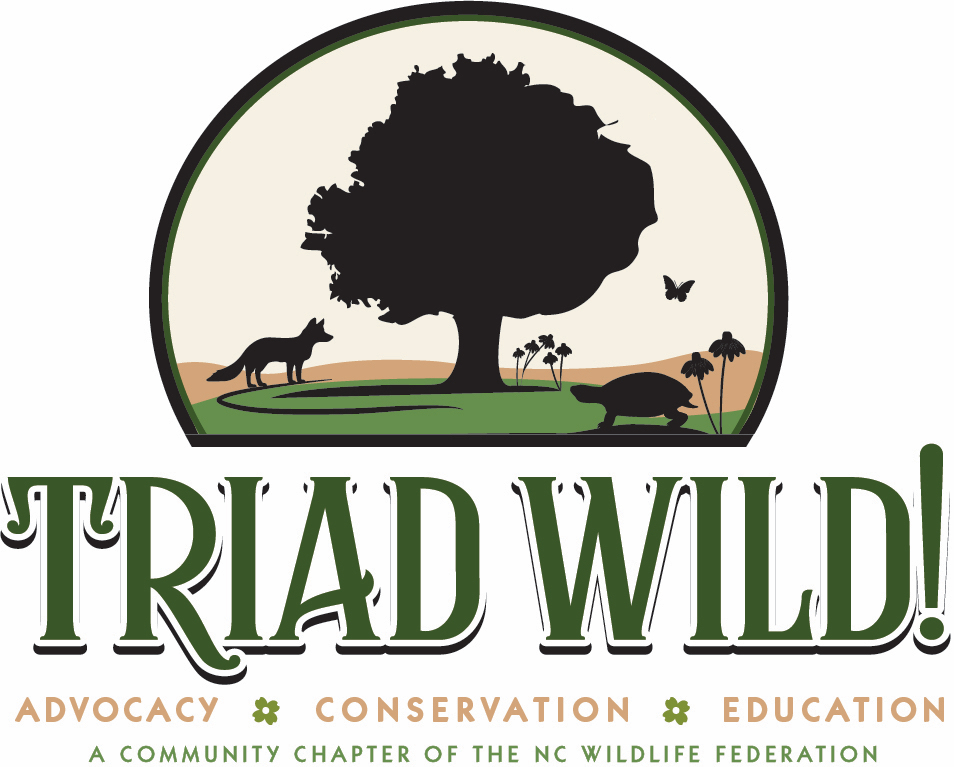Triad Wild! Logo depicting the silhouette of a tree with a fox, turtle, butterfly and bird beneath it.