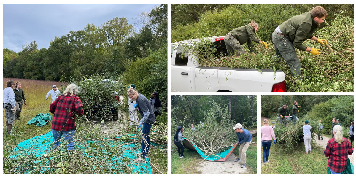 Invasive Plant Removal at Turnipseed Nature Preserve, Sept 29. NCWF joined with Wake County Parks & Rec and brave volunteers to battle against the invasive privet plaguing the preserve. The intrepid crew successfully prepared the area for a native replanting in October.