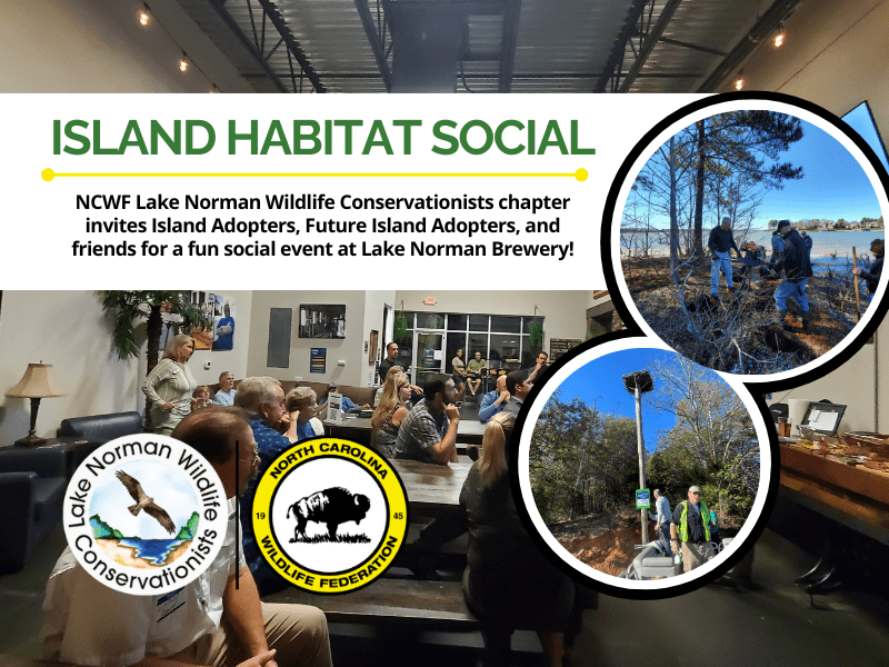 IslandHabitatSocial