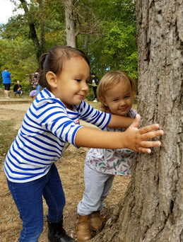 Two young children hugging a large tree.