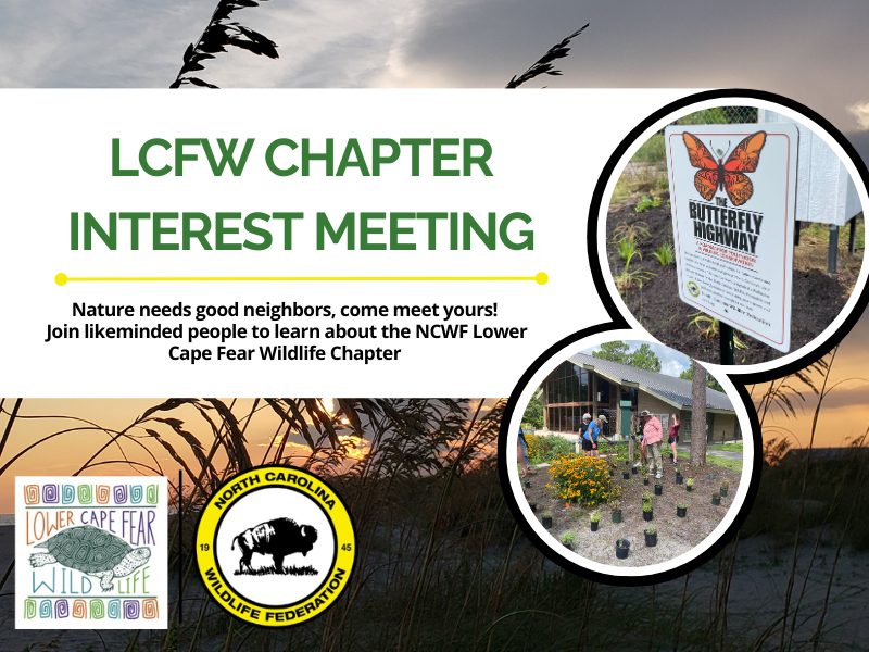 LCFWinterestmeeting