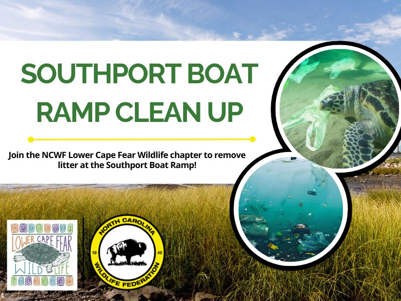 LCFWsouthportcleanup
