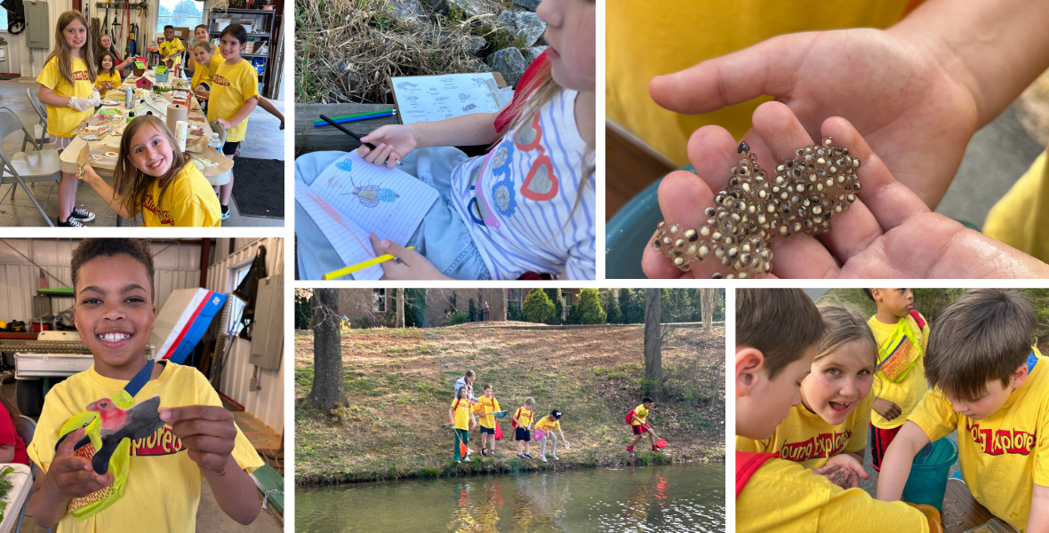 LNWC Young Explorers 042225 April 22, Young Explorers: NCWF Lake Norman Wildlife Conservationists Chapter completed another successful session of Young Explorers this month. Children ages 7-11 spent the last month investigating creatures that live in the soil, identifying local birds and plants, and casting for catfish and bream in the turtle pond at Robbins Park! Kids enjoyed nature journaling, crafting, and much more!