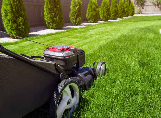 A lawnmower being pushed across turf grass.